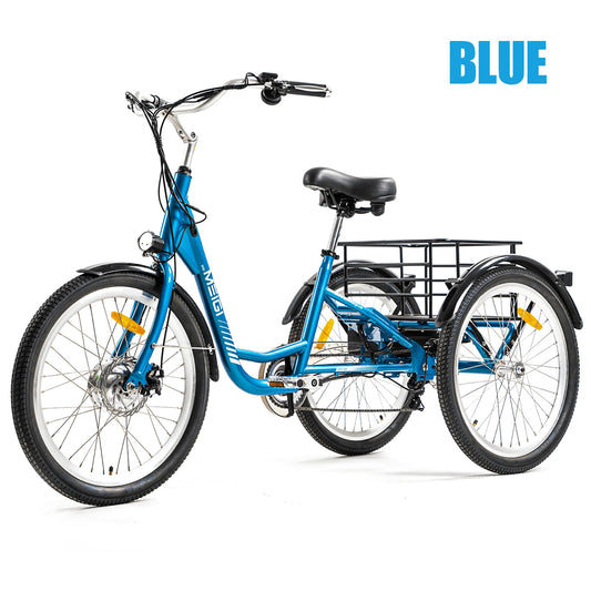 3 Wheel Electric Cargo Tricycle for Adult Powerful Strong 750W Peak Motor 36V 24 Inch Tire Electric City Bike For Man Women