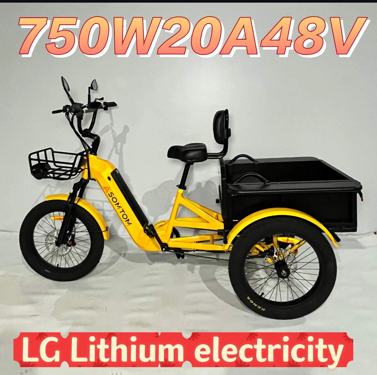 Fast Delivery Tricycle Fashion Three Wheel Vehicle for Adults 48V Adult Electric Trike Cargo Bike 750W Fat Tire Sand & Snow
