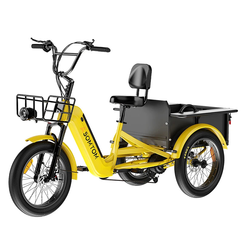 Fast Delivery Tricycle Fashion Three Wheel Vehicle for Adults 48V Adult Electric Trike Cargo Bike 750W Fat Tire Sand & Snow