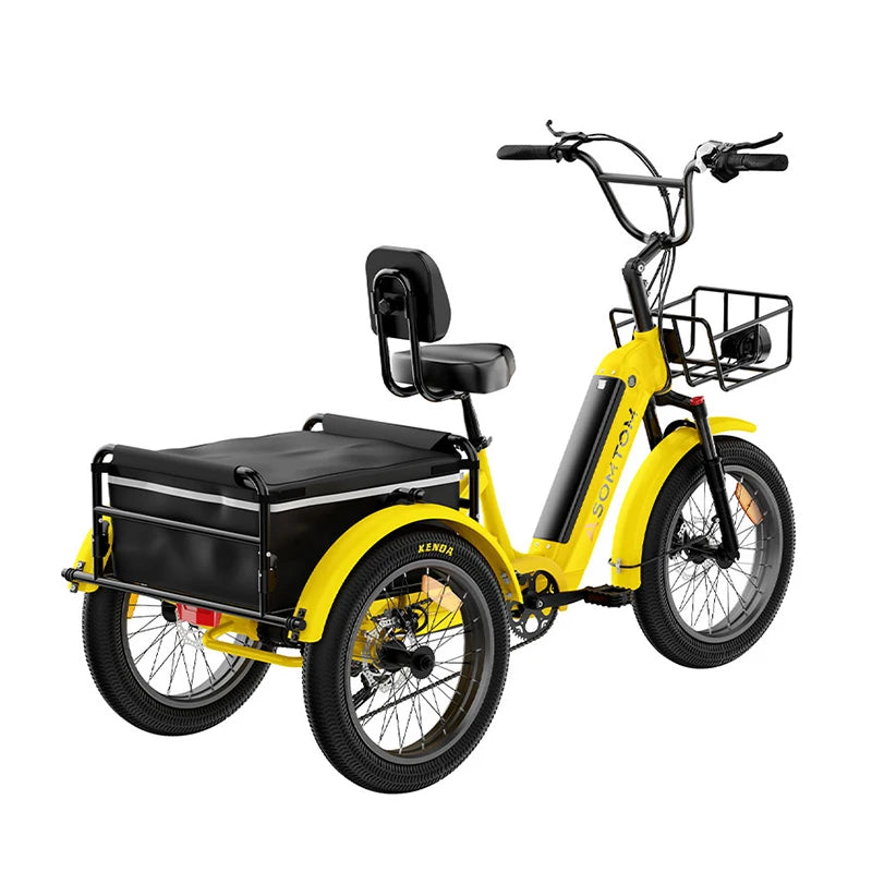 Fast Delivery Tricycle Fashion Three Wheel Vehicle for Adults 48V Adult Electric Trike Cargo Bike 750W Fat Tire Sand & Snow