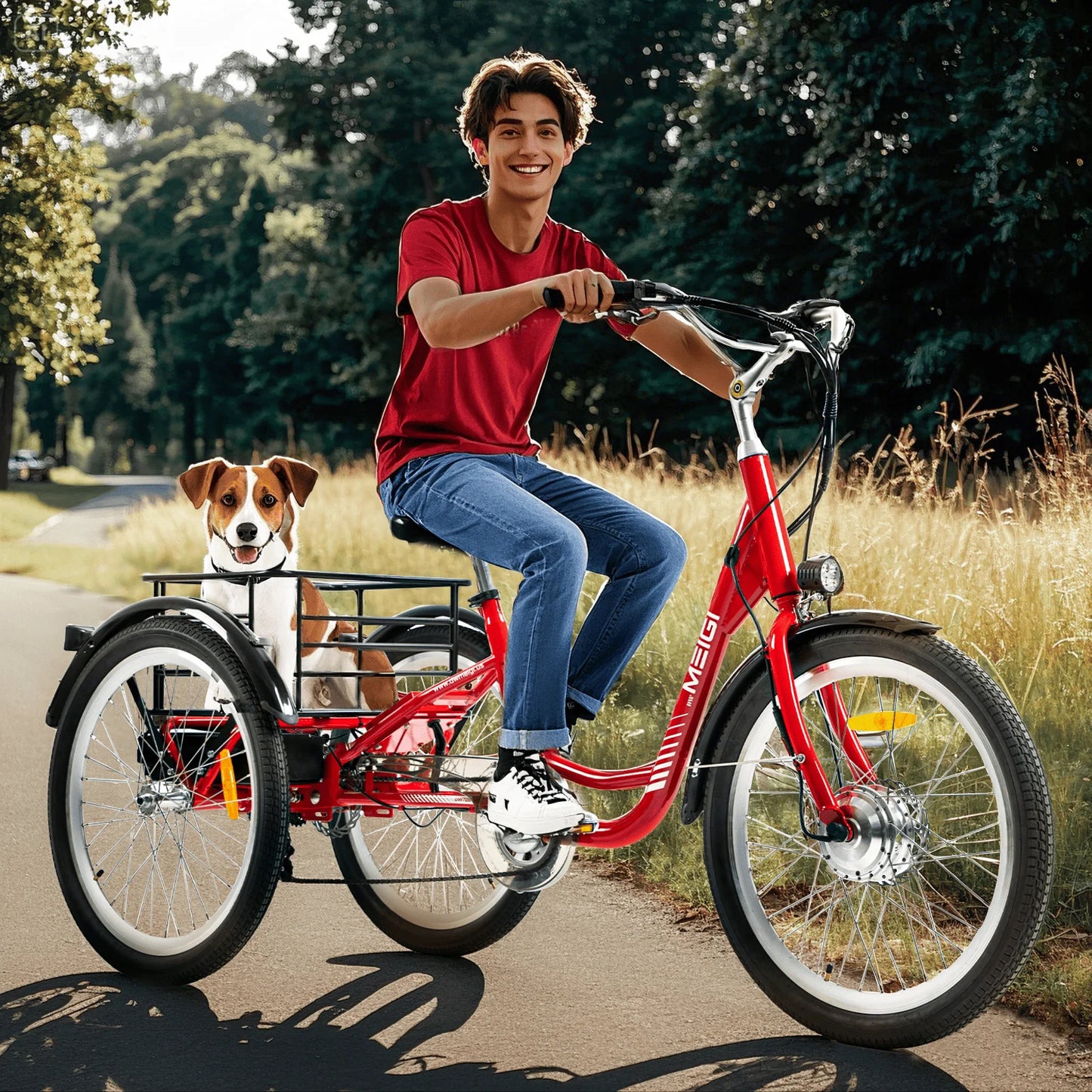 3 Wheel Electric Cargo Tricycle for Adult Powerful Strong 750W Peak Motor 36V 24 Inch Tire Electric City Bike For Man Women