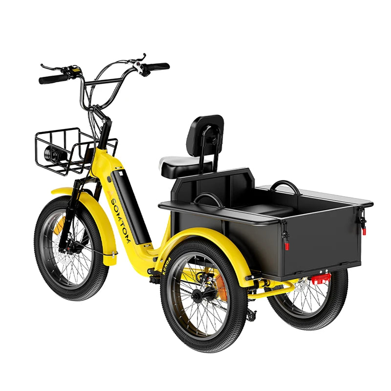 Fast Delivery Tricycle Fashion Three Wheel Vehicle for Adults 48V Adult Electric Trike Cargo Bike 750W Fat Tire Sand & Snow