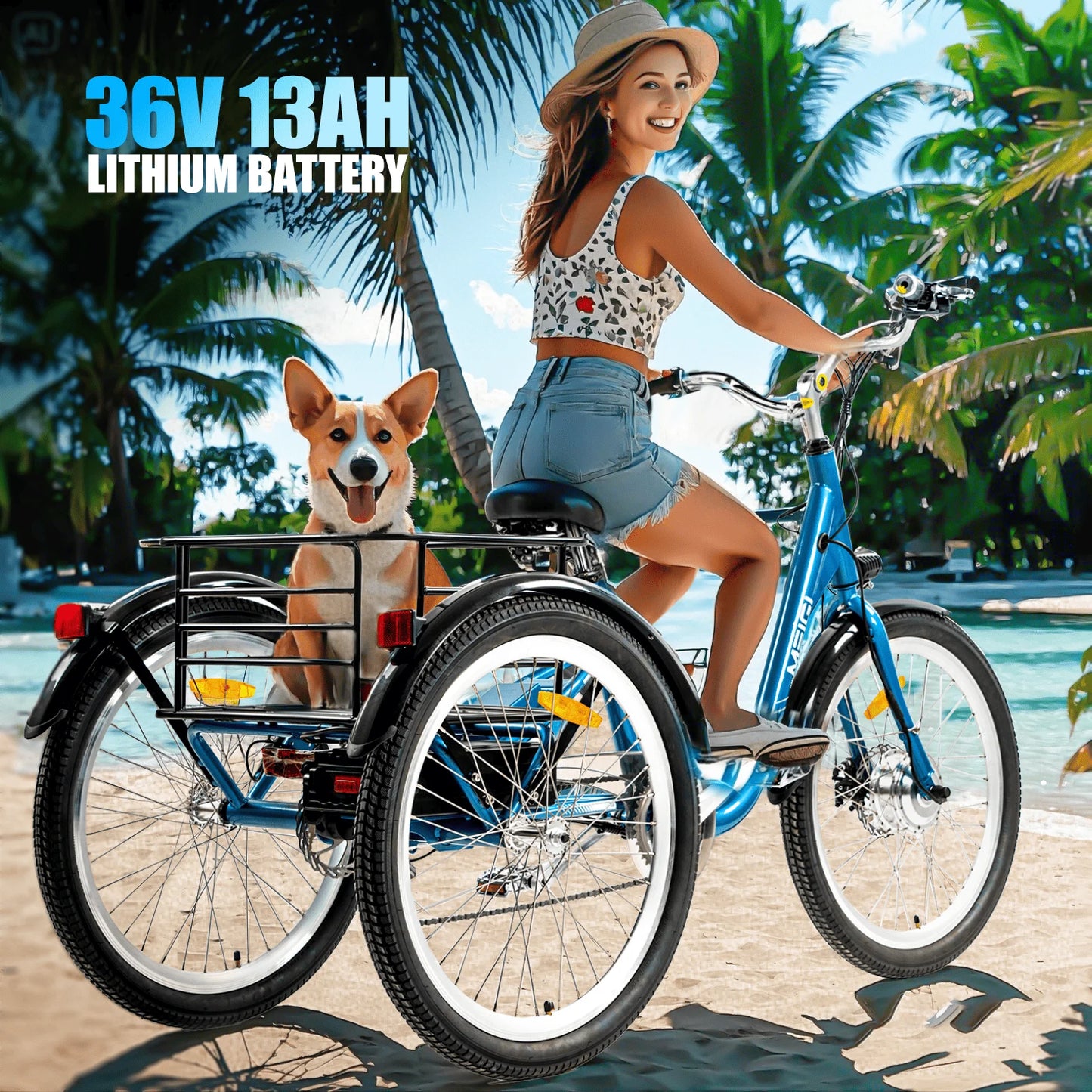3 Wheel Electric Cargo Tricycle for Adult Powerful Strong 750W Peak Motor 36V 24 Inch Tire Electric City Bike For Man Women